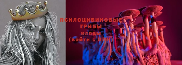 apvp Арсеньев