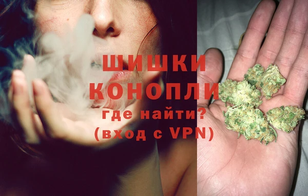 эйфоретик Аркадак