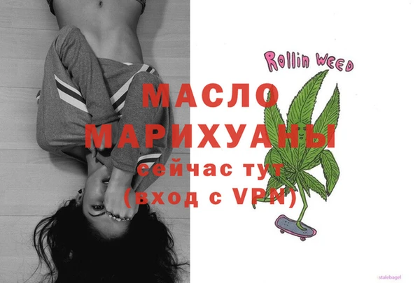 индика Кинешма