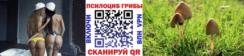Псилоцибиновые грибы GOLDEN TEACHER  Партизанск 
