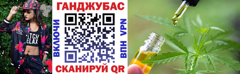 где можно купить   Партизанск  Бошки марихуана сатива 